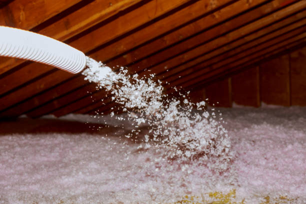 Best Types of Insulation in Evans, GA