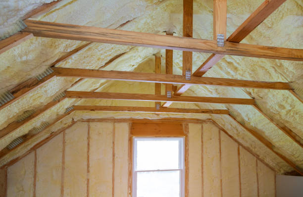 Best Commercial Insulation in Evans, GA