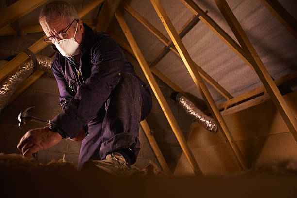 Best Insulation Installation Services in Evans, GA